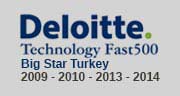 deloitte fast 500 big star