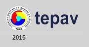 tepav 2015